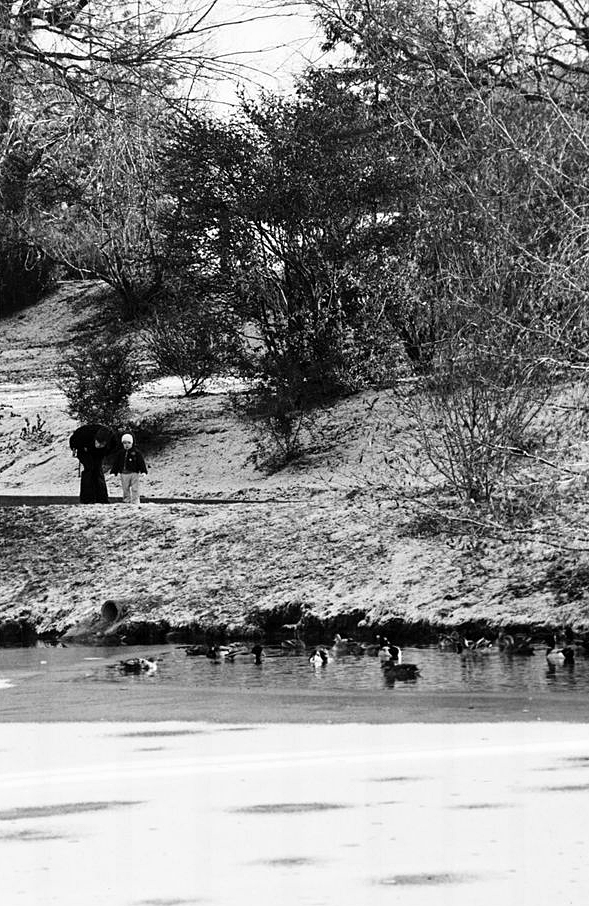 History of L&S 19691999 UC Davis College of Letters and Science